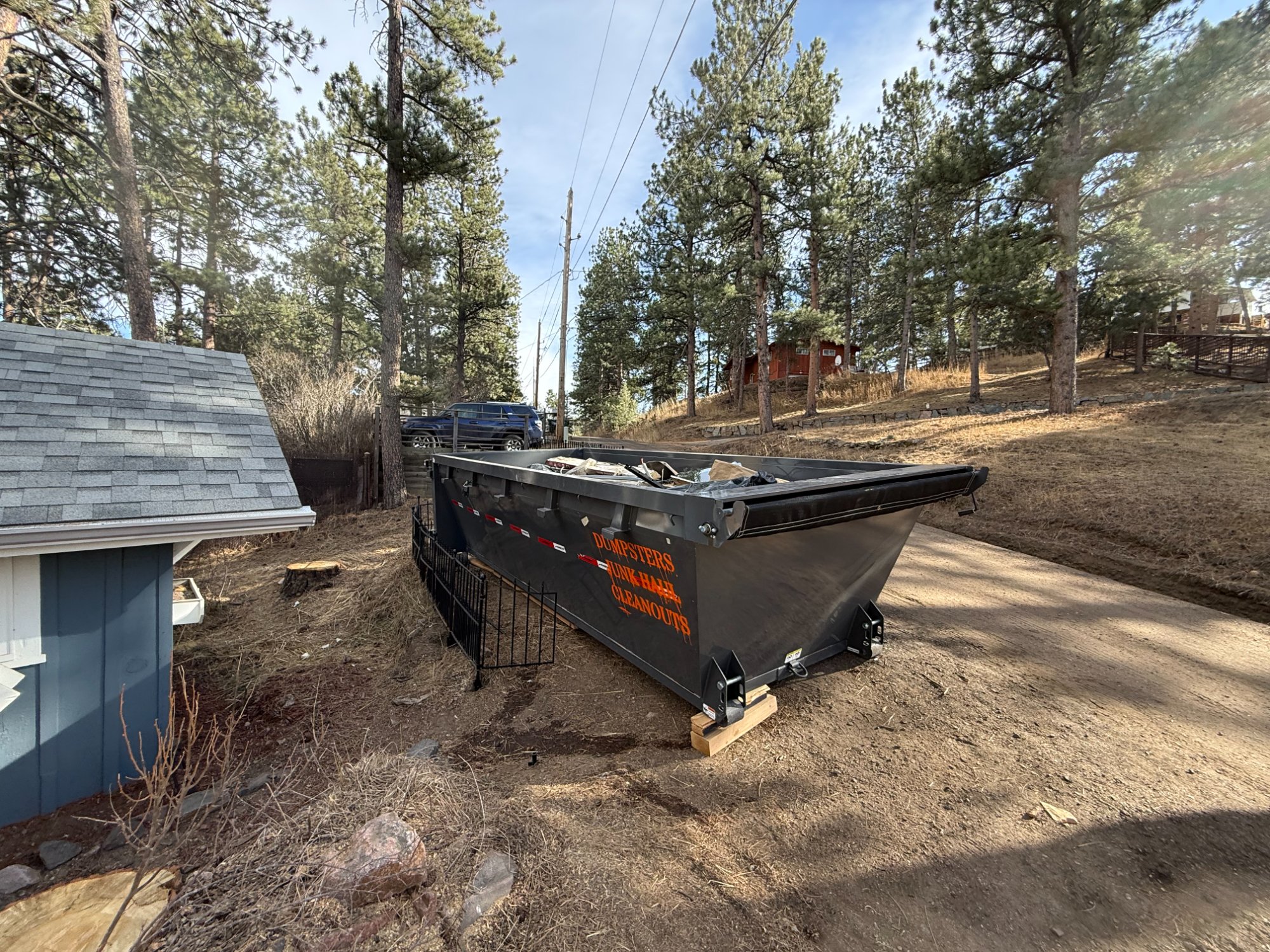 RHS professional service